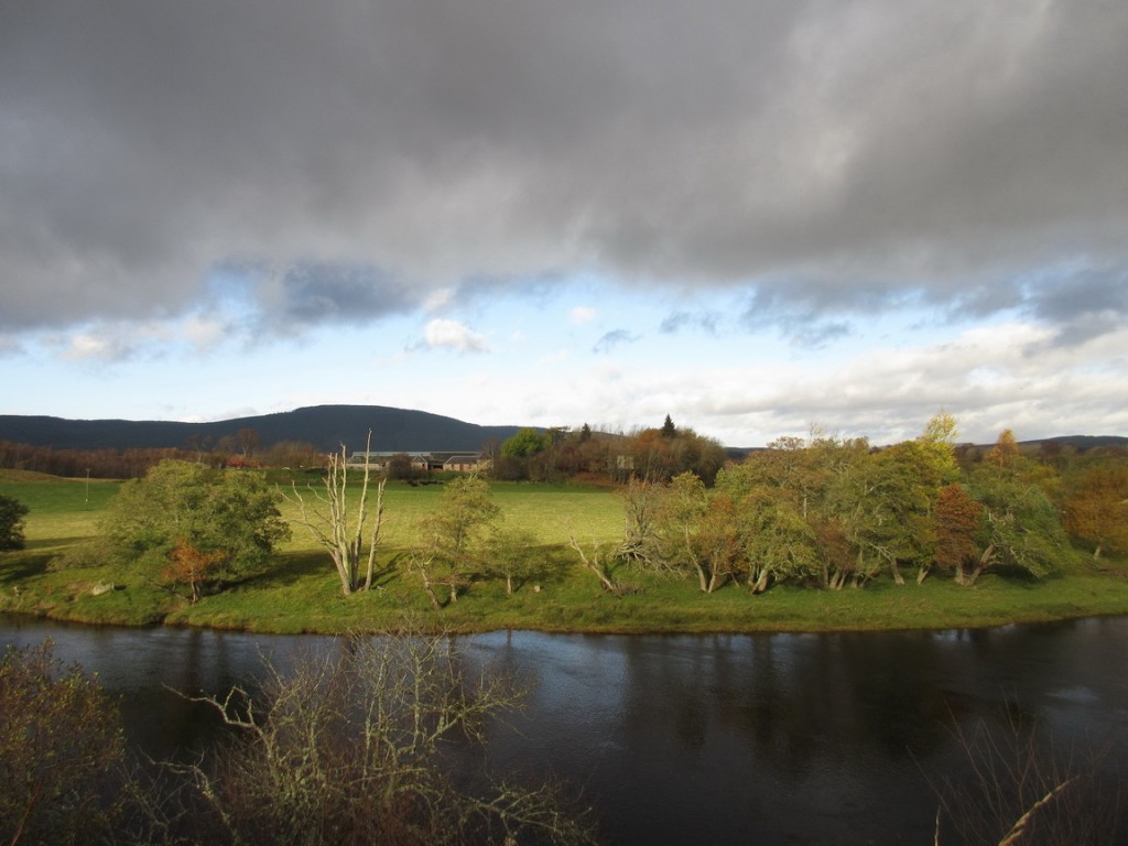 Vacas al lado del río Spey