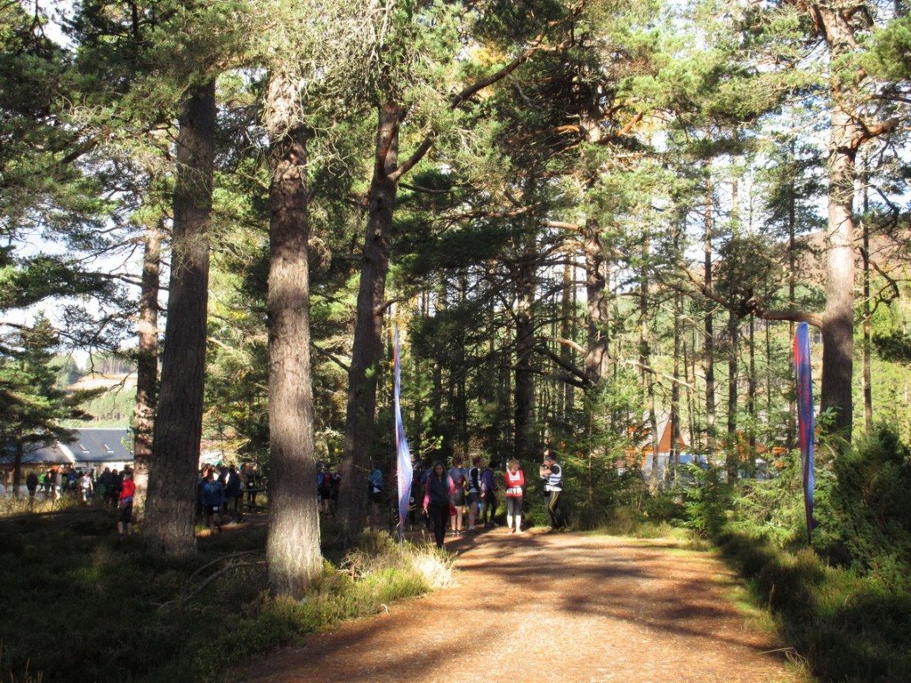 La partida de la carrera