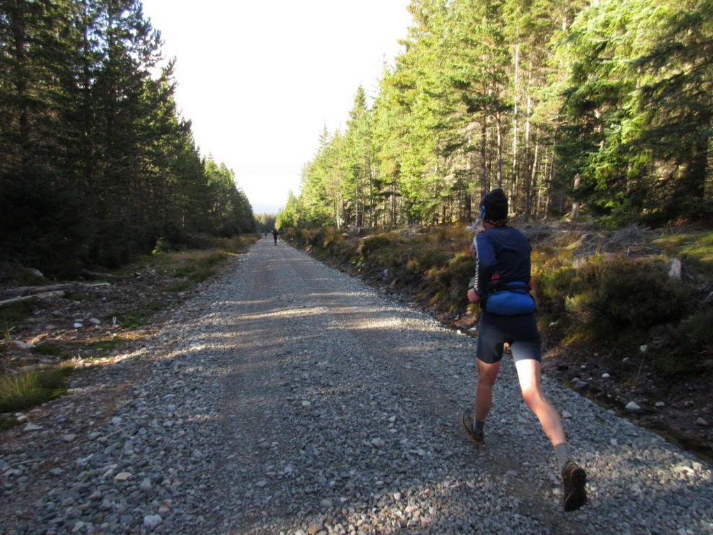 De vuelta al camino de ripio