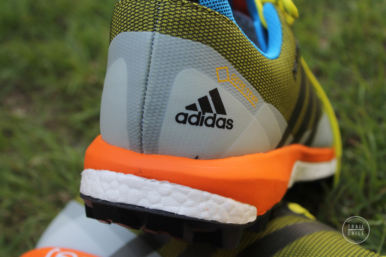 adidas gtx agravic