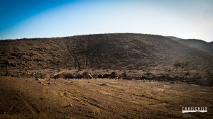 Circuito Trail Running - Putaendo